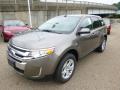 2014 Edge SEL AWD #4 2014 Edge SEL AWD #4
