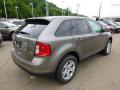 2014 Edge SEL AWD #8 2014 Edge SEL AWD #8
