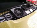 2014 911 3.8 Liter DFI DOHC 24-Valve VarioCam Plus Flat 6 Cylinder Engine #25