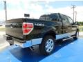 2014 F150 XLT SuperCrew 4x4 #3