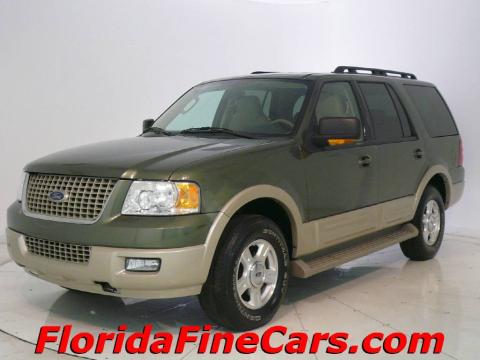 Estate Green Metallic 2005 Ford Expedition Eddie Bauer with Medium Parchment 