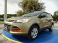 Front 3/4 View of 2013 Ford Escape S #1 Front 3/4 View of 2013 Ford Escape S #1