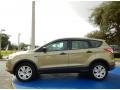 2013 Ford Escape Ginger Ale Metallic #2 2013 Ford Escape Ginger Ale Metallic #2