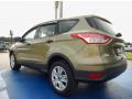 2013 Escape S #3 2013 Escape S #3