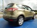 2013 Escape S #5 2013 Escape S #5