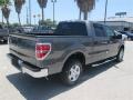 2014 F150 XLT SuperCrew #5