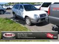 2005 Santa Fe GLS 4WD #1