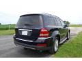 2008 GL 550 4Matic #10