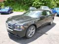 2014 Charger R/T Plus AWD #2