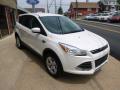 2014 Escape SE 1.6L EcoBoost 4WD #3