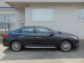 2015 Sonata Limited #2