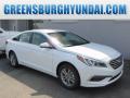 2015 Sonata SE #1