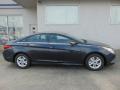 2014 Sonata GLS #2