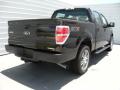 2014 F150 STX SuperCrew #4