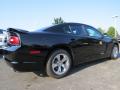 2014 Charger SXT #3