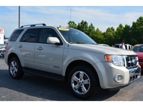 Light Sage Metallic Ford Escape Limited.  Click to enlarge.