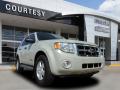 2008 Escape XLT V6 #1 2008 Escape XLT V6 #1