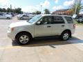 2008 Escape XLT V6 #3 2008 Escape XLT V6 #3