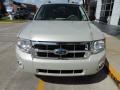 2008 Escape XLT V6 #4 2008 Escape XLT V6 #4