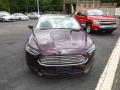 2013 Fusion SE #3