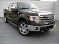 2014 F150 King Ranch SuperCrew 4x4 #1 2014 F150 King Ranch SuperCrew 4x4 #1