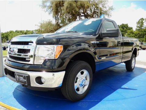 Tuxedo Black Ford F150 XLT Regular Cab 4x4.  Click to enlarge.