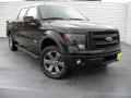 2014 F150 FX4 SuperCrew 4x4 #2 2014 F150 FX4 SuperCrew 4x4 #2