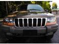 1999 Grand Cherokee Laredo 4x4 #2 1999 Grand Cherokee Laredo 4x4 #2
