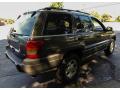 1999 Grand Cherokee Laredo 4x4 #6 1999 Grand Cherokee Laredo 4x4 #6