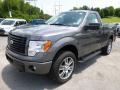 Front 3/4 View of 2014 Ford F150 STX Regular Cab 4x4 #4