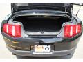 2011 Mustang V6 Premium Convertible #21
