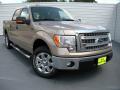 2014 F150 XLT SuperCrew #2 2014 F150 XLT SuperCrew #2