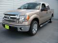 2014 F150 XLT SuperCrew #7 2014 F150 XLT SuperCrew #7