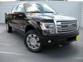 2014 F150 Platinum SuperCrew 4x4 #1