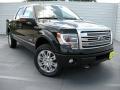 2014 F150 Platinum SuperCrew 4x4 #2