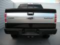 2014 F150 Platinum SuperCrew 4x4 #5