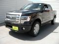 2014 F150 Platinum SuperCrew 4x4 #7