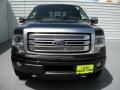 2014 F150 Platinum SuperCrew 4x4 #8