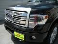 2014 F150 Platinum SuperCrew 4x4 #10