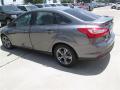 2014 Focus SE Sedan #4