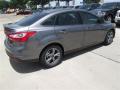 2014 Focus SE Sedan #6