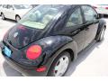 2000 New Beetle GLS Coupe #8