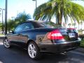 2008 CLK 350 Cabriolet #8