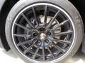 2014 Panamera 4 #12