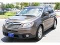 2008 Tribeca Limited 7 Passenger #2 2008 Tribeca Limited 7 Passenger #2