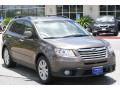2008 Tribeca Limited 7 Passenger #3 2008 Tribeca Limited 7 Passenger #3