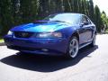 2002 Mustang GT Coupe #2