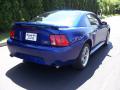 2002 Mustang GT Coupe #14