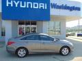 2013 Sonata GLS #2
