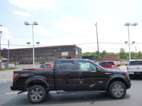 Tuxedo Black Ford F150 FX4 SuperCrew 4x4.  Click to enlarge.